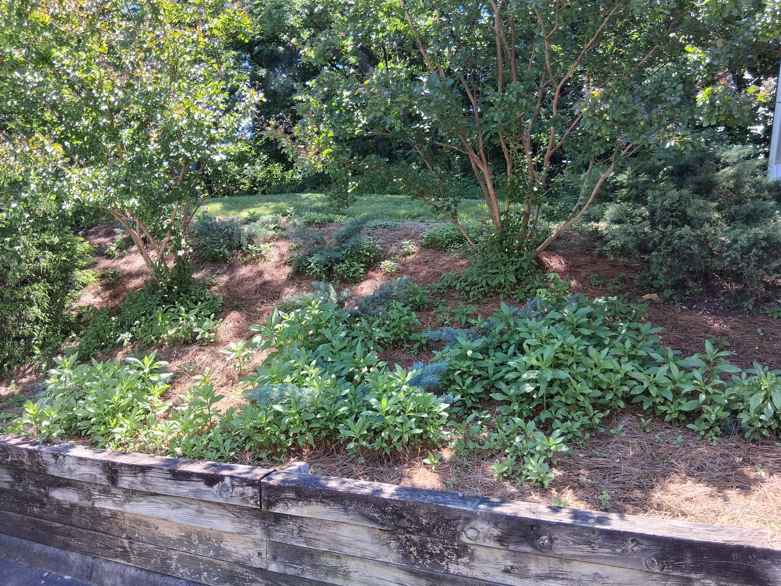 Before — retaining wall bed before RLD service